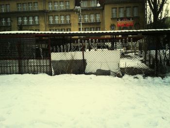 Snow covered houses