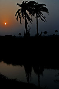 Silhouette palm tree by lake against sunset sky