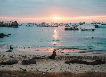 Scenic view of sea against sky during sunset