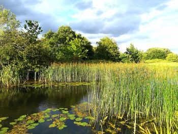 Scenic view of lake against sky