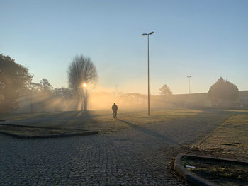 Foggy dawn in lionesa