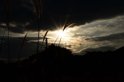 Silhouette trees against sky at sunset