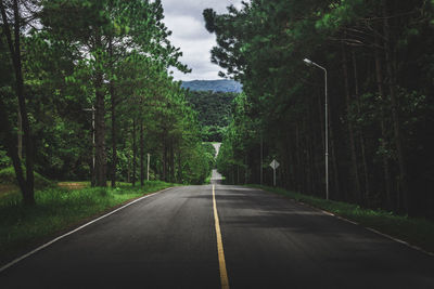 Empty road amidst trees in forest