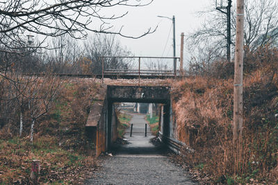 View of bridge in forest during autumn