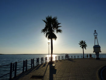 Silhouette palm trees on beach against sky during sunset