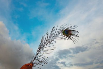 Low angle view of human hand holding peacock feather against sky