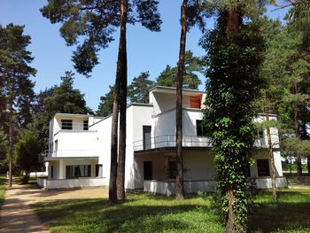 View of building with trees in foreground