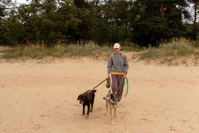Rear view of man riding horse on field