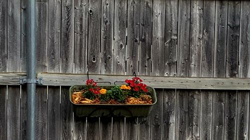 Close-up of wooden plank