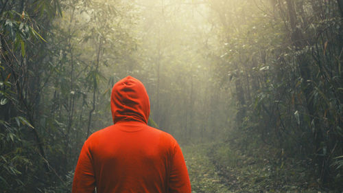 Rear view of man walking in forest