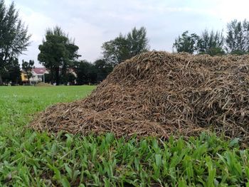 Hay bales on field against sky