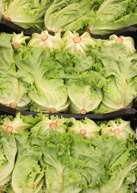 Full frame shot of vegetables in market