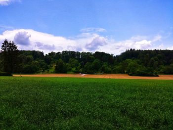 Scenic view of field against sky