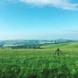 Scenic view of agricultural field against blue sky