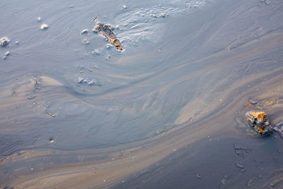 High angle view of beach