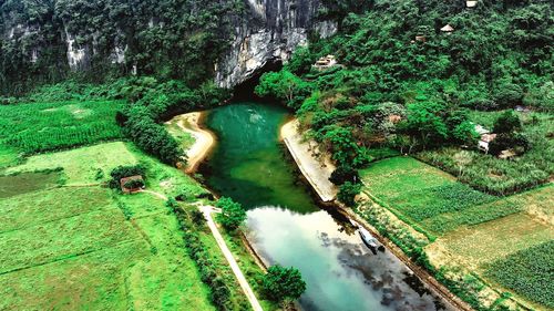 High angle view of water flowing in forest