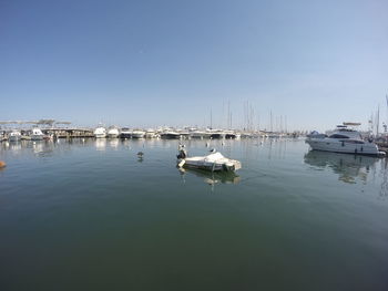 Sailboats moored in harbor against clear sky