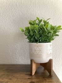 Potted plants on table against wall at home