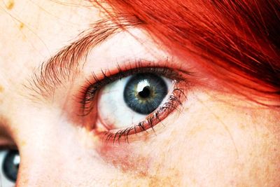 Close-up portrait of woman eye