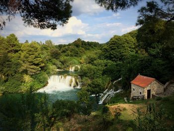 Scenic view of river amidst trees in forest