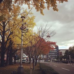 Road amidst trees in city against sky