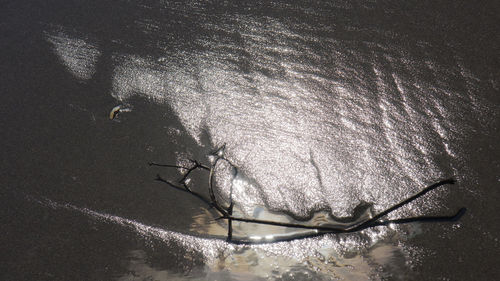 High angle view of dead tree in lake