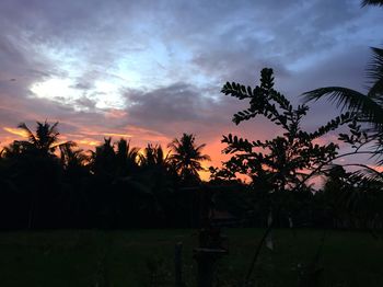 Silhouette palm trees against sky during sunset