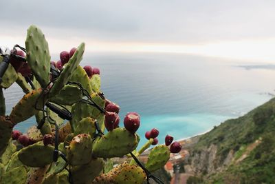 Scenic view of sea against cloudy sky