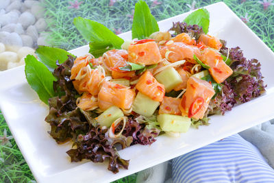 High angle view of salad in plate