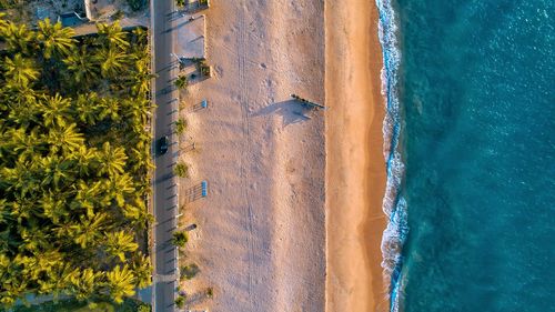 Aerial view of beach