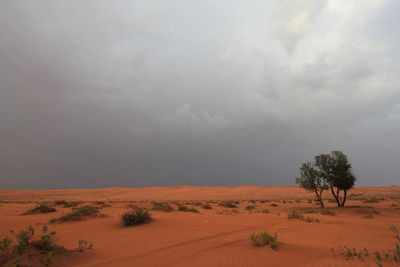 Scenic view of desert against sky