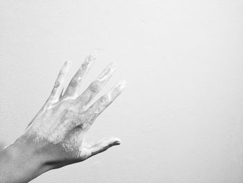 Hand of man on white background