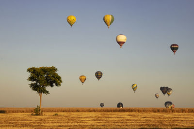 Many balloons over a field in the sky and a lonely tree 