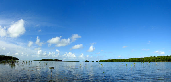 Kayaking the keys