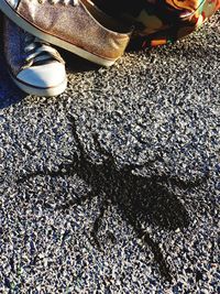 Low section of shoes on road