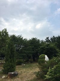 Trees on field against sky