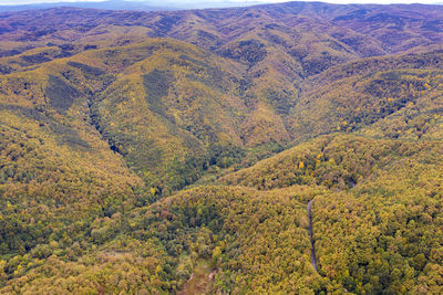 Drone aerial view view of mountain hills. hilltops covered with autumn forest.