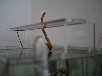 Low angle view of clothespins on railing against wall