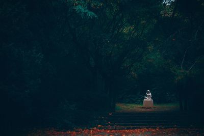 Trees in the dark