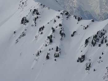 High angle view of snow covered land