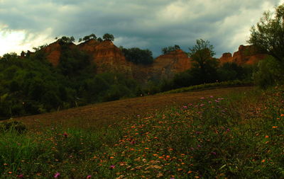 Scenic view of landscape against sky