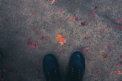 Low section of person standing on street during autumn