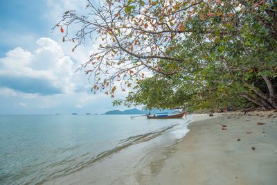 Scenic view of beach against sky