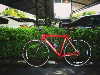 Bicycle parked against plants