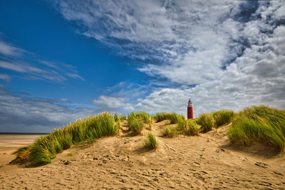 Scenic view of beach against sky