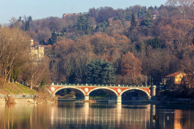 Arch bridge over river against trees