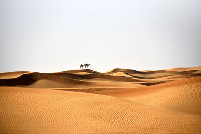 Scenic view of desert against clear sky