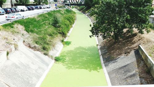 High angle view of canal amidst trees in city