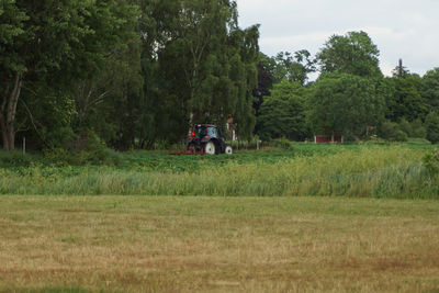 Scenic view of grassy field against sky