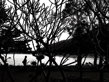 Silhouette trees against sky